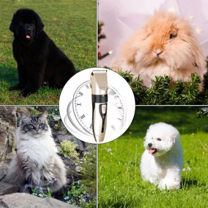 Máquina Para Tosar Cachorro Profissional Pet De Corte Cabelo Tosador de Cães Pet